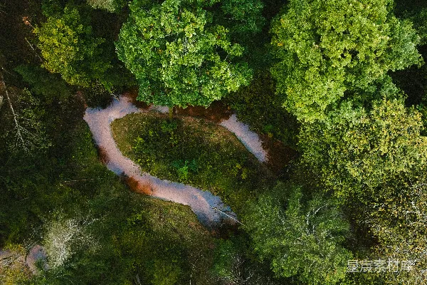 高清摄影 森林中蜿蜒流淌的河流的俯视图