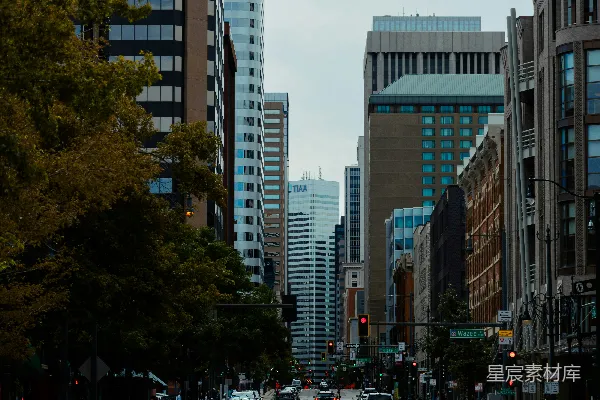 高清摄影 城市街景：现代与自然的融合
