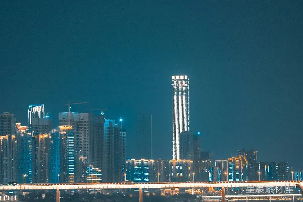 高清摄影 夜幕下的城市天际线