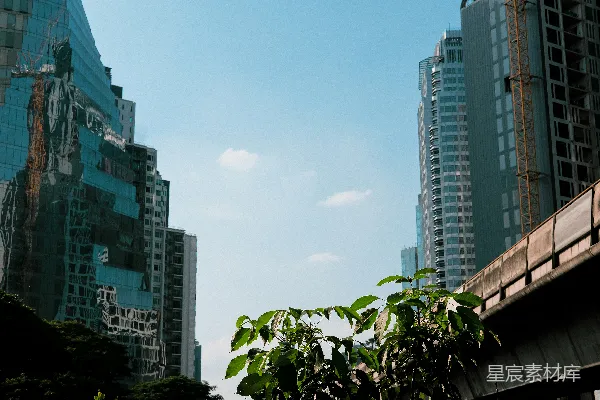 高清摄影 城市中的绿植与高楼
