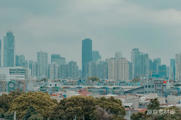 高清摄影 城市天际线与树木的对比