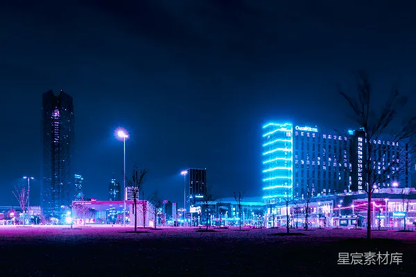 高清摄影 城市夜景：霓虹下的现代都市