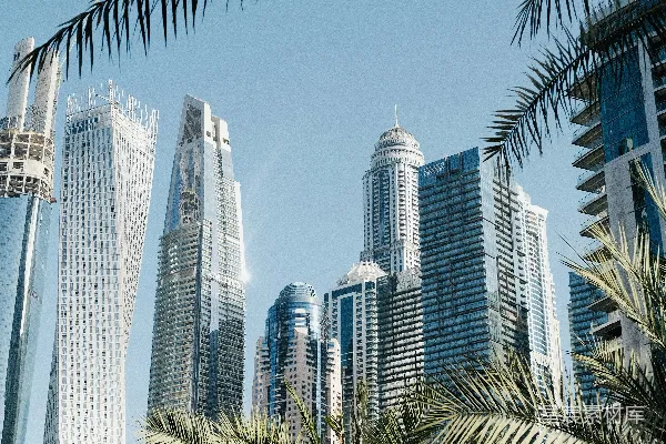 高清摄影 热带都市的摩天楼