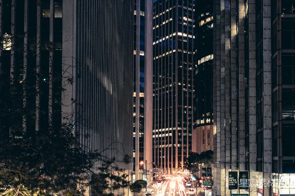 高清摄影 夜晚的城市天际线