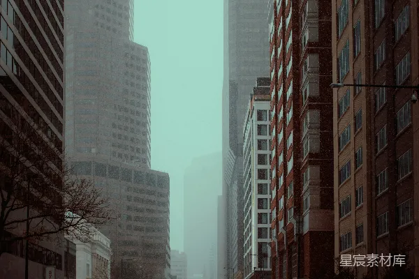高清摄影 冬日雾中城市街景