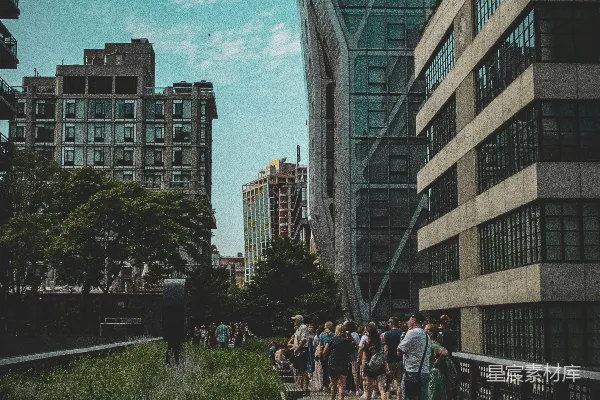 高清摄影 城市绿洲：高线公园的宁静时光