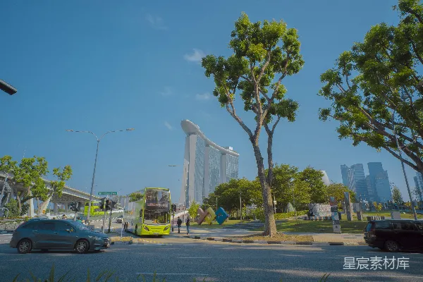 高清摄影 新加坡滨海湾花园前的街头景色