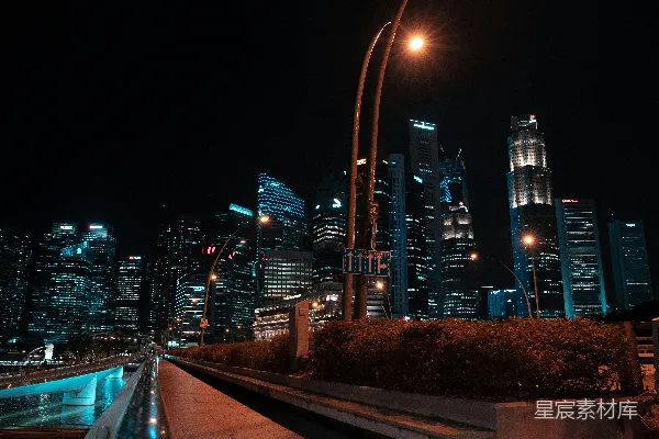 高清摄影 夜晚的城市天际线