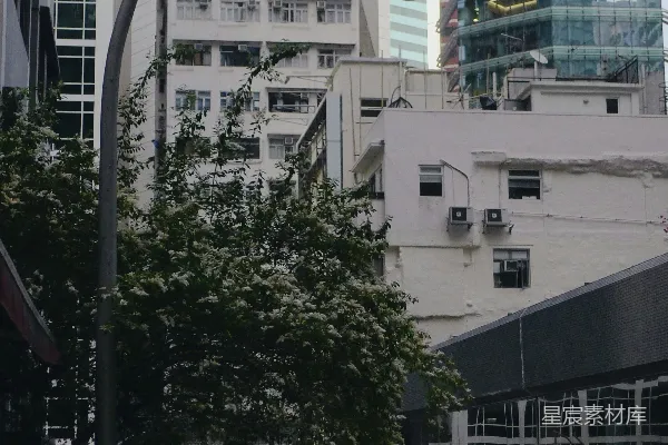 高清摄影 都市中的静谧角落