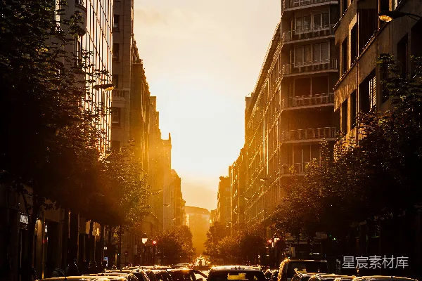高清摄影 夕阳下的城市街道