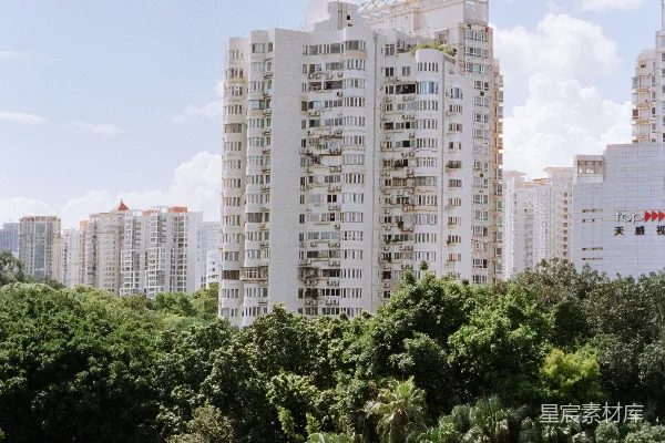 高清摄影 城市绿洲：高楼与自然的和谐共处