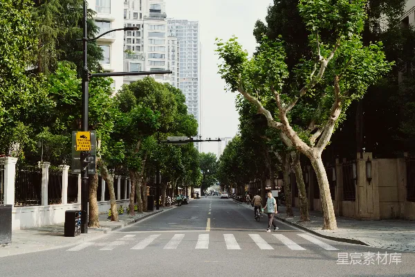 高清摄影 城市绿荫下的宁静街道
