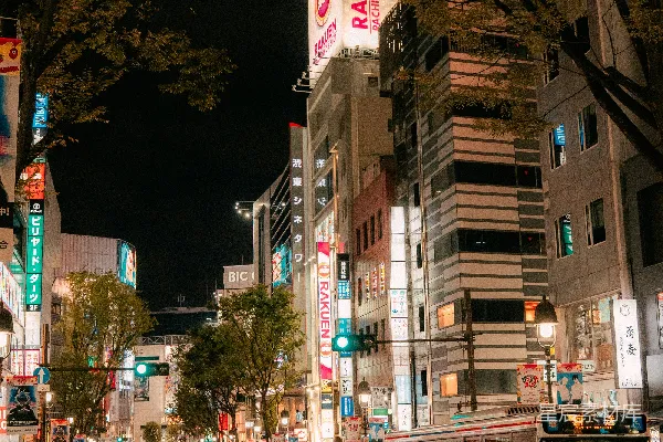 高清摄影 夜幕下的东京街头