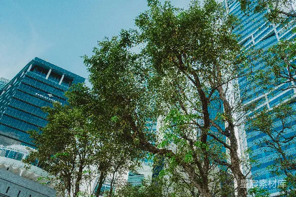 高清摄影 城市中的绿洲
