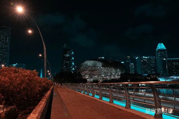 高清摄影 夜晚城市的灯光与桥梁