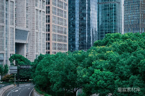 高清摄影 都市中的绿洲