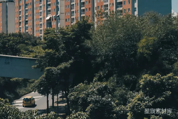 高清摄影 城市绿树与高楼
