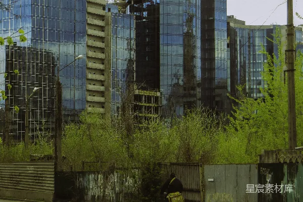 高清摄影 城市中的绿色与建筑