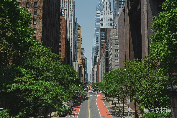 高清摄影 纽约市的繁华街道