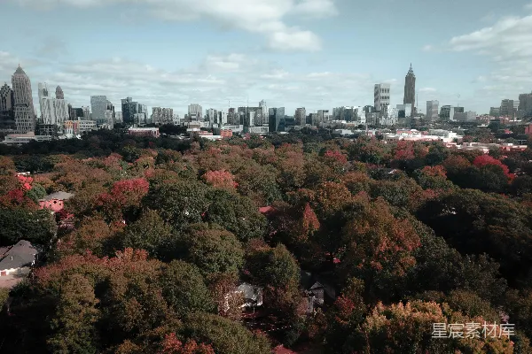 高清摄影 秋日的城市与森林