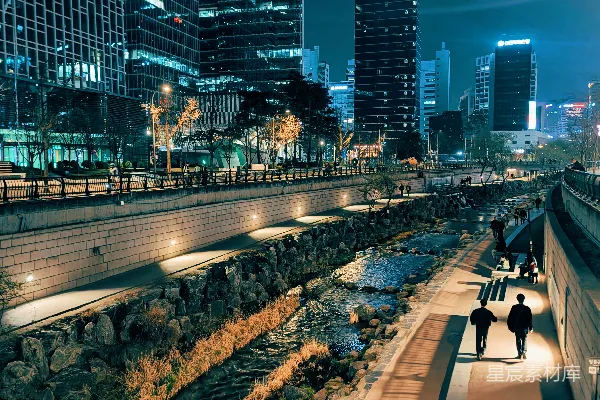 高清摄影 都市夜景：河边小径的宁静时光
