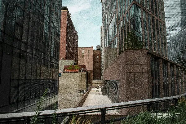 高清摄影 城市中的绿洲：高线花园