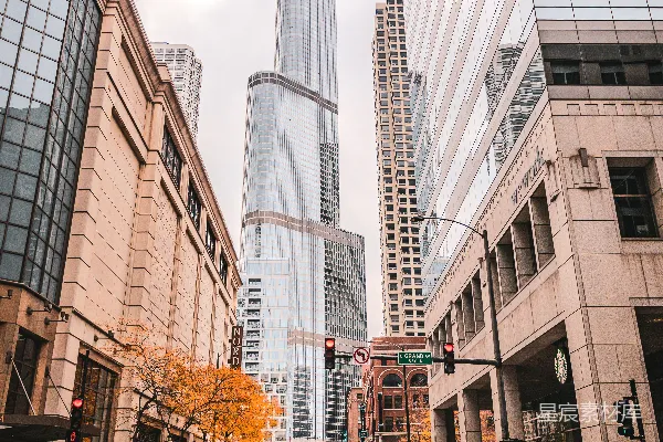 高清摄影 都市的秋日街景