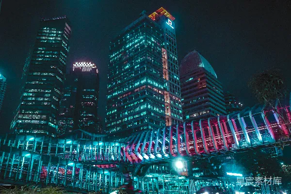 高清摄影 霓虹下的都市夜景