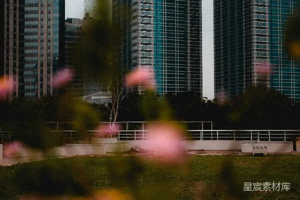 高清摄影 都市与自然的和谐共生