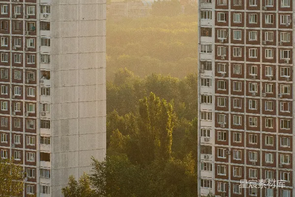高清摄影 城市的剪影：高楼与绿树的交响