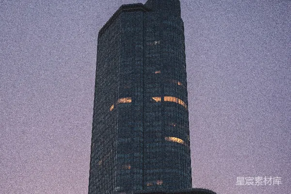 高清摄影 城市的夜晚：摩天大楼的剪影