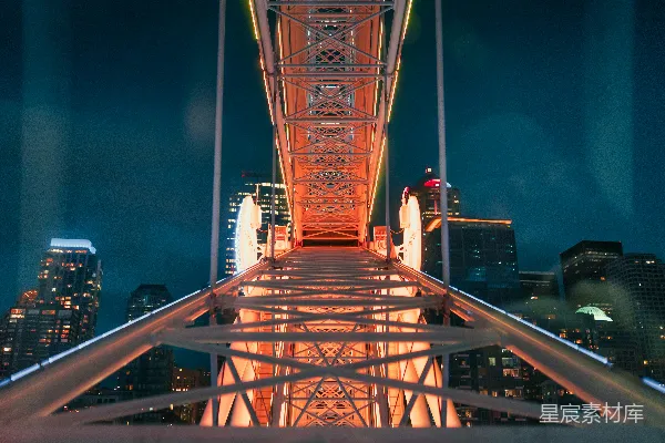 高清摄影 夜幕下的摩天轮