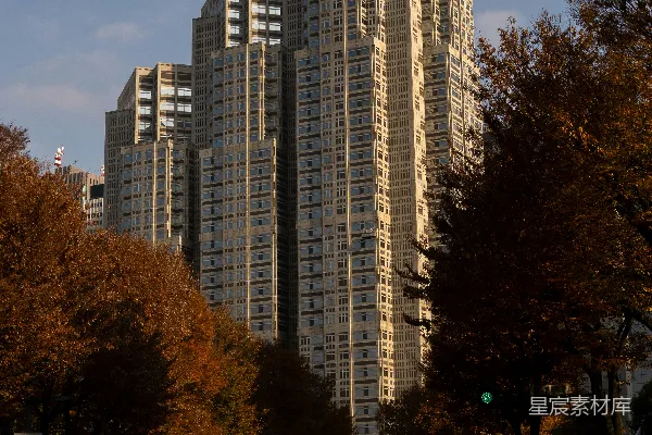 高清摄影 秋日城市的高耸建筑