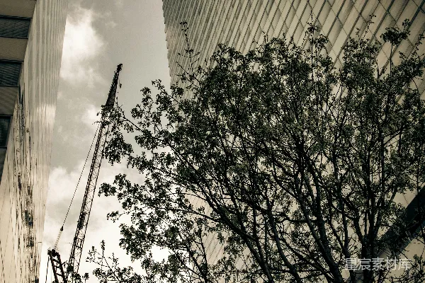 高清摄影 城市中的自然与建筑