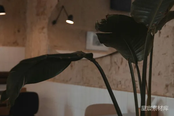 高清摄影 复古工业风咖啡馆一角