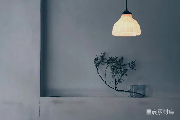 高清摄影 简约角落的光影与自然