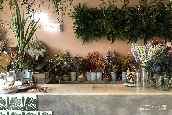 高清摄影 绿意盎然的花店