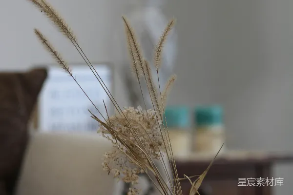 高清摄影 干花装饰的小花瓶
