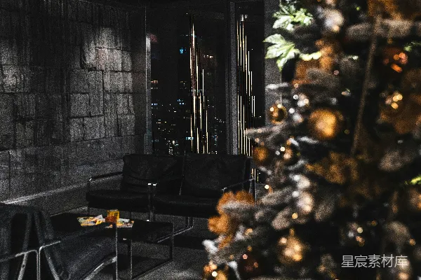 高清摄影 现代感圣诞树装饰的客厅
