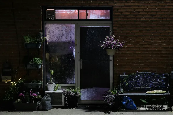高清摄影 夜晚的门廊：砖墙与植物的静谧场景