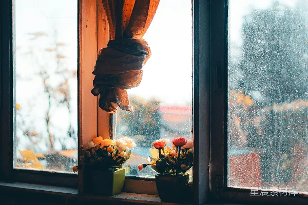 高清摄影 窗边的花与雨滴
