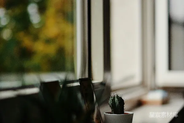 高清摄影 窗边的绿植与秋景