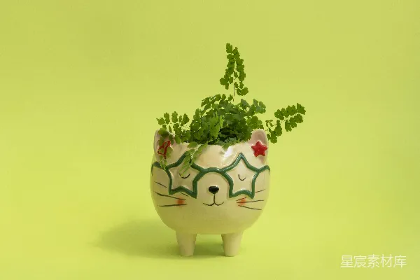 高清摄影 萌趣猫咪花盆