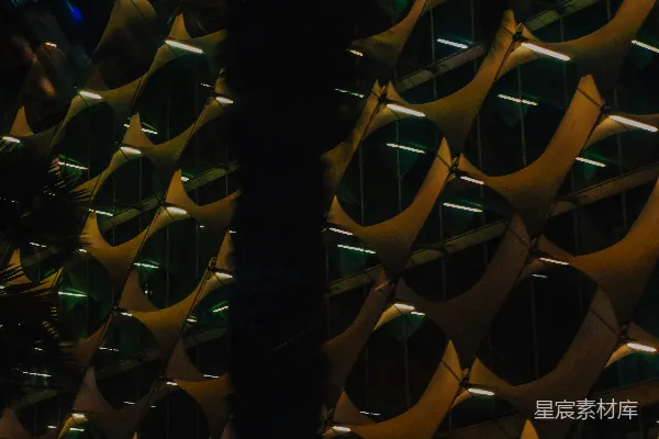 高清摄影 夜晚建筑的独特几何之美