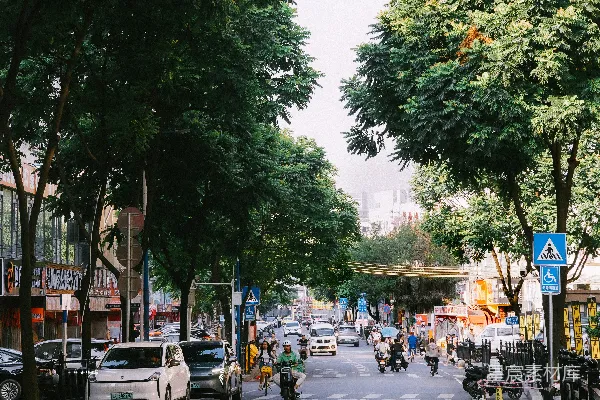 高清摄影 城市绿意盎然的街道