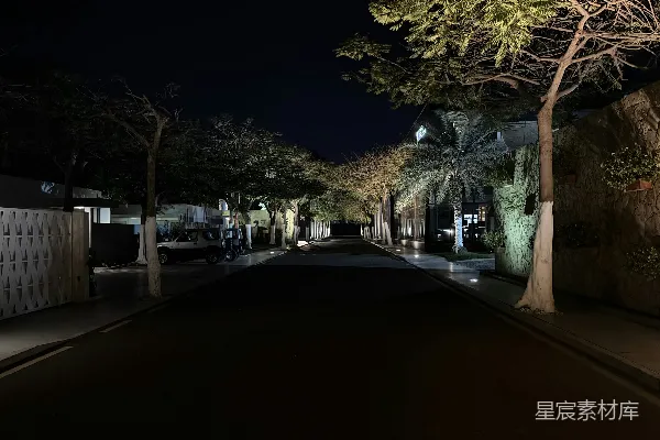 高清摄影 夜晚的宁静小径