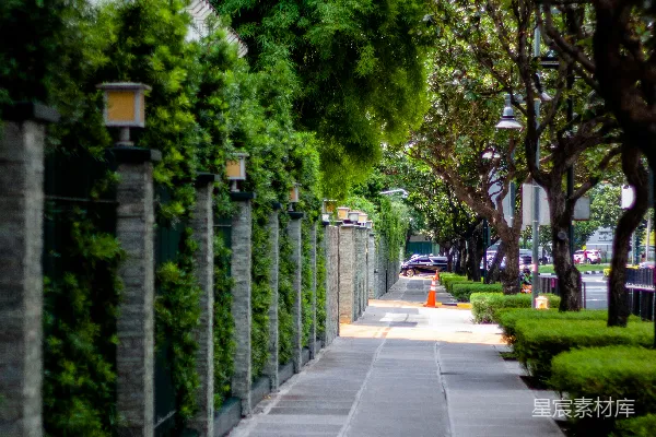高清摄影 都市中的绿意小径