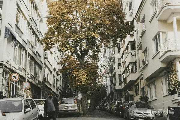 高清摄影 秋日街道的宁静