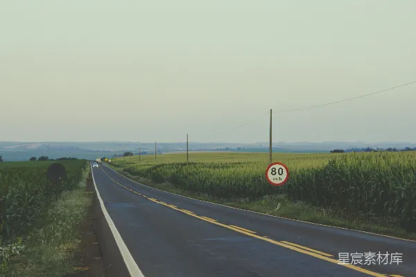 高清摄影 乡村公路与田地