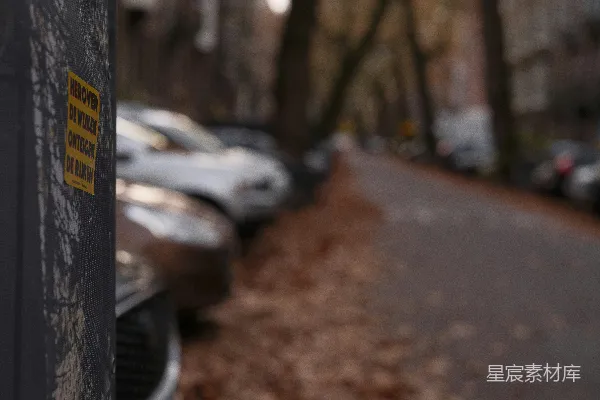高清摄影 街道上的落叶与被占用的自行车